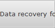 Data recovery for Williston data